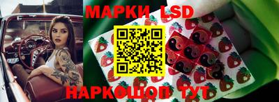 ПСИЛОЦИБИНОВЫЕ ГРИБЫ Ярославль