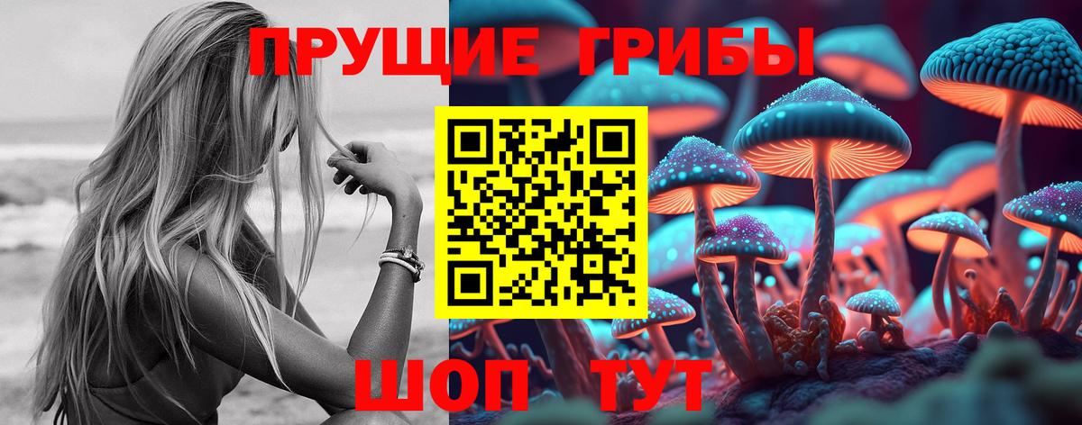 купить   Псилоцибиновые грибы MAGIC MUSHROOMS  Вход с VPN  Ангарск 